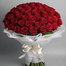 Букет 101 Красная роза Блэк Мэджик в Иннополисе
