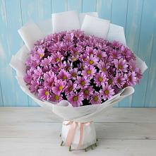 Букет цветов из:  Хризантемы в Иннополисе