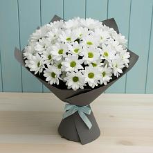 Букет цветов из:  Хризантемы в Иннополисе