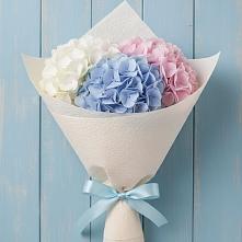 Букет цветов из:  Гортензия в Иннополисе