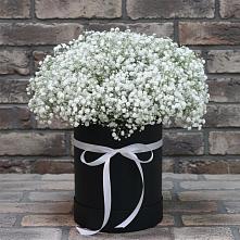 Цветочная композиция из Гипсофила в шляпной коробке в Иннополисе