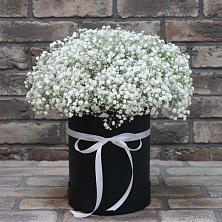 Цветочная композиция из Гипсофила в шляпной коробке в Иннополисе