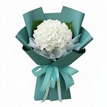 Букет цветов из:  Гортензия в Иннополисе